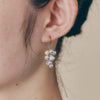 Akoya Baroque Pearl “Grape” Pierced Earrings / Clip-On Earrings＿アコヤ真珠（バロック）ぶどうピアス