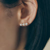 Akoya Pearl Pierced Earrings＿アコヤ真珠3連ピアス