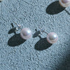 K14WG Akoya Pearl Stud Pierce/Earrings(8mm)＿K14WG 花珠アコヤ真珠 ピアス/イヤリング